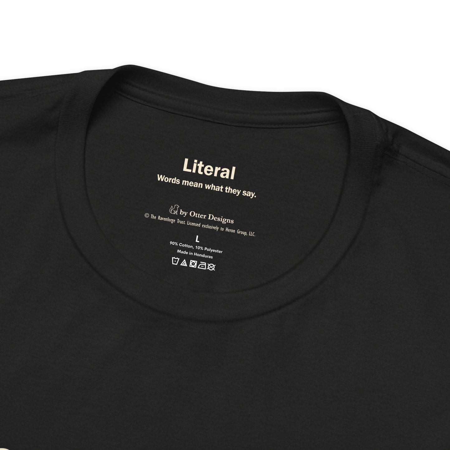 Accommodation, Not Special Treatment Tee