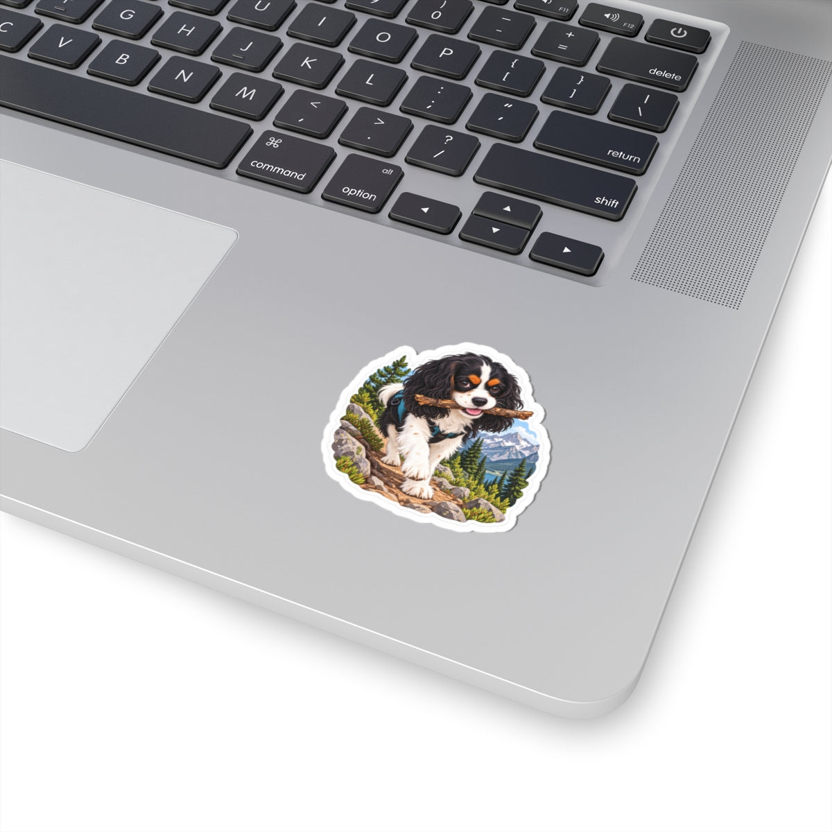 Trail Stick Cavalier sticker displayed on a laptop.