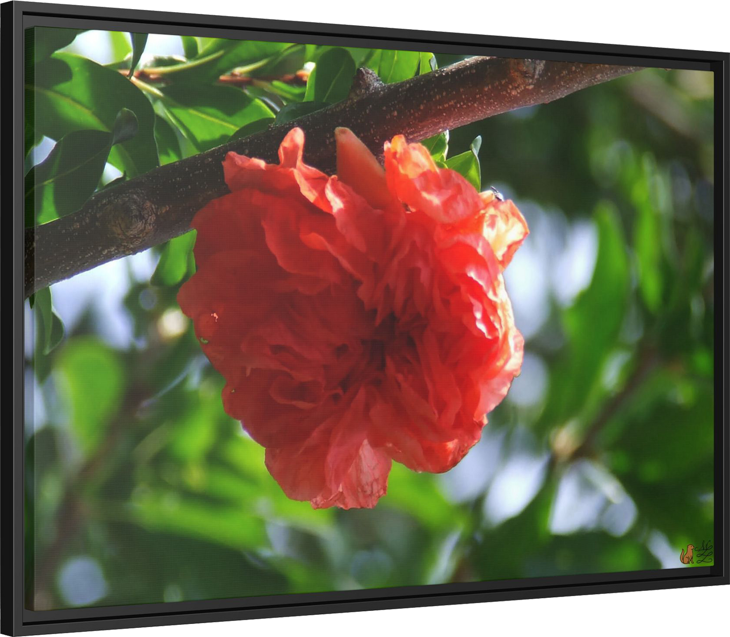 Scarlet Bloom Among The Green, Framed Canvas Print