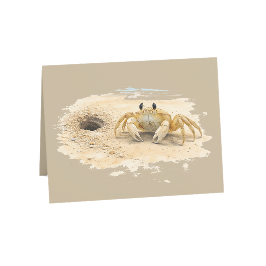 Coastal Ghost Crab Greeting Cards, 10ct