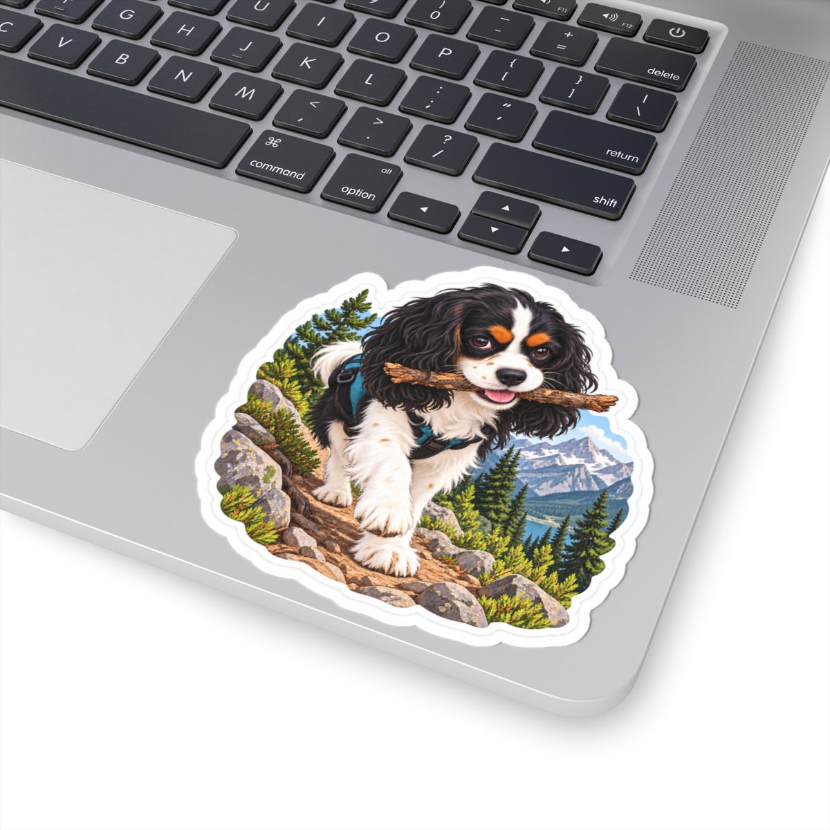 Trail Stick Cavalier sticker displayed on a laptop.