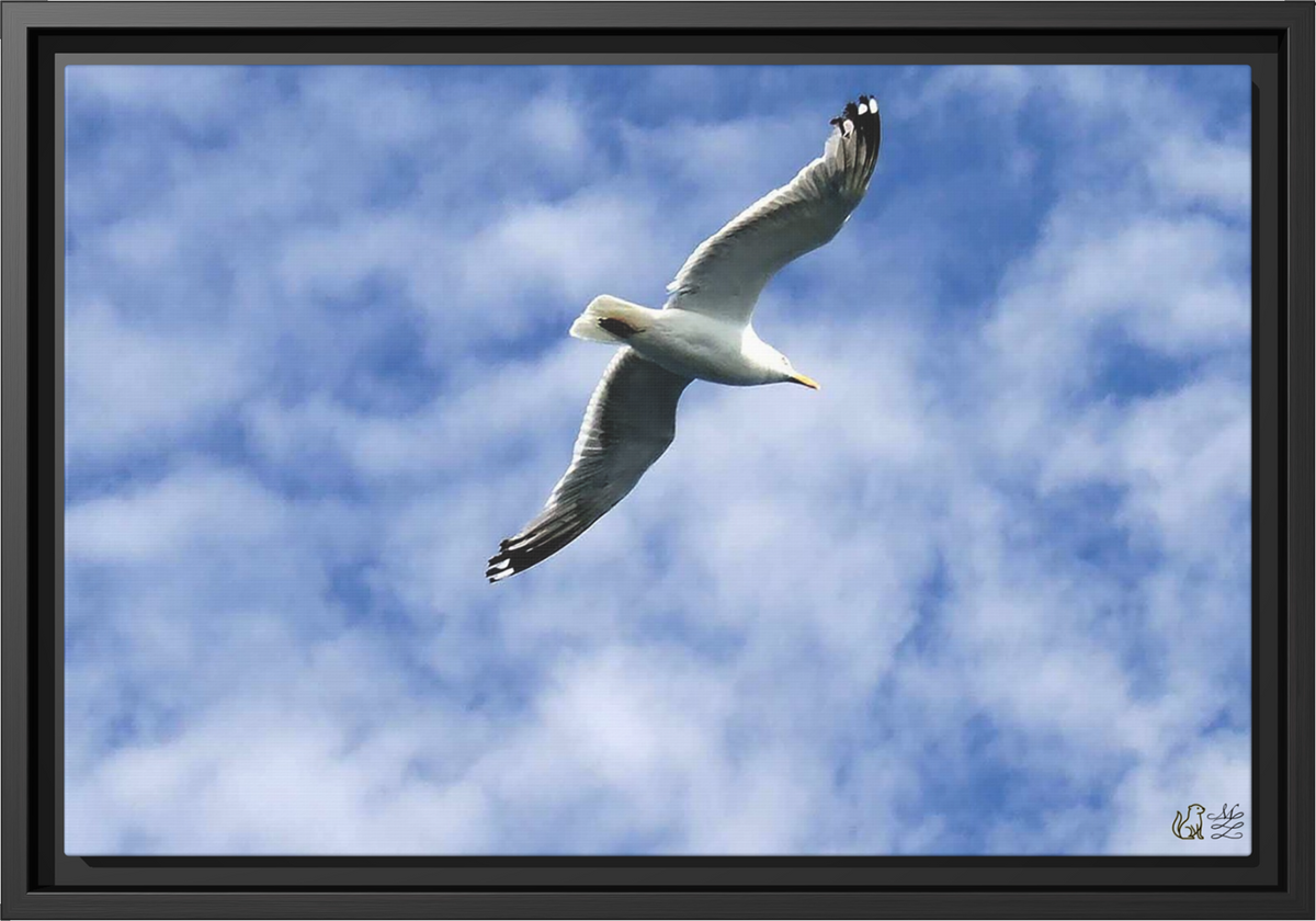 Flight of Solace Framed Matte Canvas Print